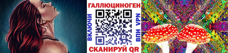 Псилоцибиновые грибы Magic Shrooms  Адыгейск 